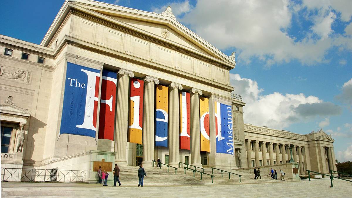 People Walking up the steps to the Entrance of the Field Museum - Chicago, Illinois, USA